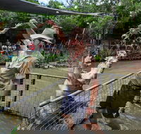 Hartley's Crocodile Adventures Day Trip from Cairns - New South Wales Tourism 