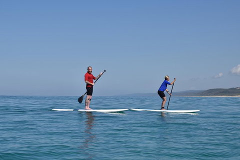 Stand Up Paddle Double Island Lesson - New South Wales Tourism  9