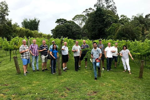 Full Day Mount Tamborine Winery Tour From Brisbane - New South Wales Tourism  0