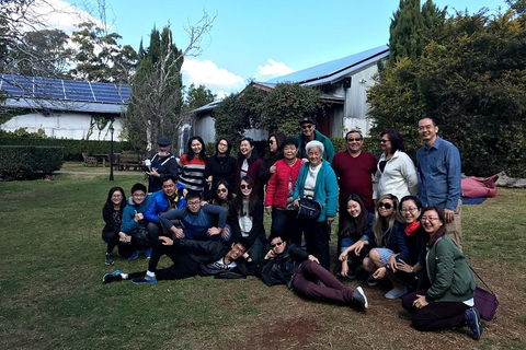 Full Day Mount Tamborine Winery Tour From Brisbane - New South Wales Tourism  14