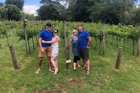 Full Day Mount Tamborine Winery Tour From Brisbane - New South Wales Tourism  5