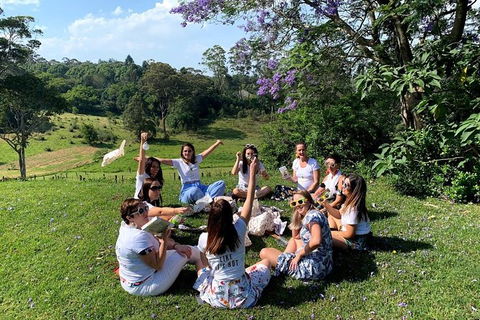 Full Day Mount Tamborine Winery Tour From Brisbane - New South Wales Tourism  10