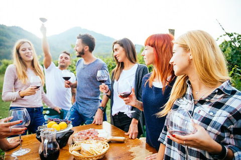 Full Day Mount Tamborine Winery Tour From Brisbane - New South Wales Tourism  13