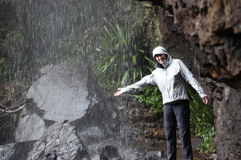 Small-Group 4WD Springbrook National Park Day Trip From Brisbane - New South Wales Tourism  1