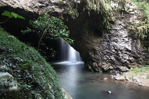 Small-Group 4WD Springbrook National Park Day Trip From Brisbane - New South Wales Tourism  0