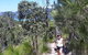 Scenic Guided Walk Up Mt Rooper For Best Whitsunday Views From Airlie Beach - thumb 1