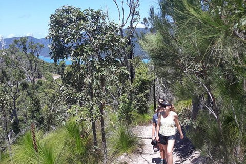 Scenic Guided Walk Up Mt Rooper For Best Whitsunday Views From Airlie Beach - New South Wales Tourism  1