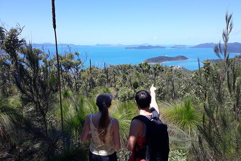 Scenic Guided Walk Up Mt Rooper For Best Whitsunday Views From Airlie Beach - New South Wales Tourism  0