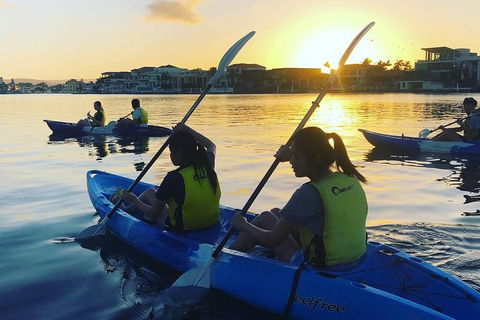 Surfers Paradise Sunset Kayak Tour - New South Wales Tourism  8