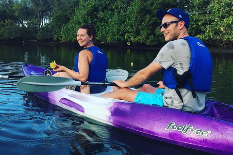 Surfers Paradise Sunset Kayak Tour - New South Wales Tourism  10