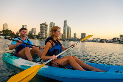 Surfers Paradise Sunset Kayak Tour - New South Wales Tourism  6