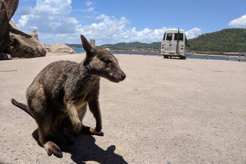 Magnetic Island Tour: Maggie Comprehensive - New South Wales Tourism  0