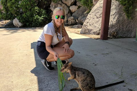 Magnetic Island Tour: Maggie Comprehensive - New South Wales Tourism  9