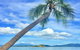 Dunk Island Round-Trip Water Taxi Transfer From Mission Beach - thumb 6
