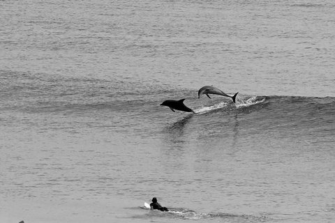Overnight Tweed Coast Camping And Surfing Getaway From The Gold Coast - New South Wales Tourism  2