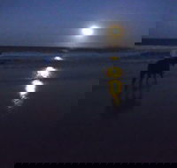 Full Moon Horse Ride at Rainbow Beach - New South Wales Tourism 