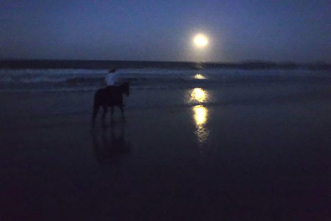 Full Moon Horse Ride At Rainbow Beach - New South Wales Tourism  0