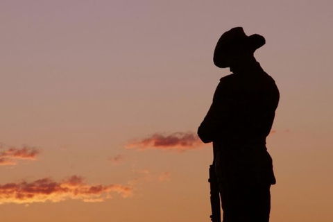 Townsville And The Australian Army: Walking History Tour With Optional City Sightseeing - New South Wales Tourism  0