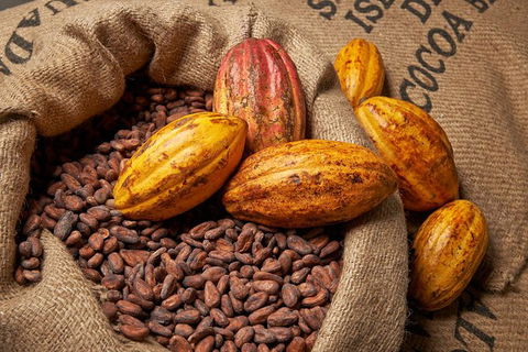 Charley\'s Chocolate Factory Tour, Mission Beach Including Aussie Farm Lunch - New South Wales Tourism  0