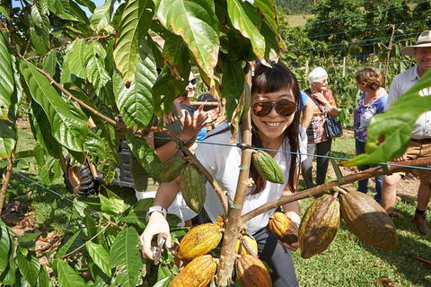 Charley\'s Chocolate Factory Tour, Mission Beach Including Aussie Farm Lunch - New South Wales Tourism  3