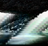 Natural Bridge Glow Worm Night Tour from Gold Coast - New South Wales Tourism 