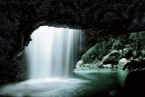 Natural Bridge Glow Worm Night Tour From Gold Coast - New South Wales Tourism  0
