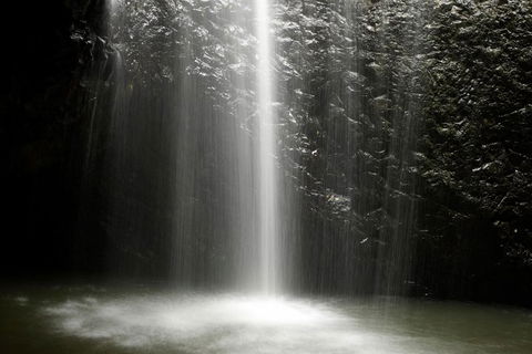 Natural Bridge Glow Worm Night Tour From Gold Coast - New South Wales Tourism  1