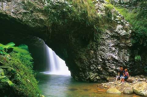 Natural Bridge Glow Worm Night Tour From Gold Coast - New South Wales Tourism  7