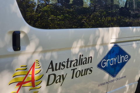 Natural Bridge Glow Worm Night Tour From Gold Coast - New South Wales Tourism  9