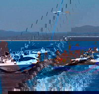 Blue Dolphin Exclusive Whale Watch Encounters - New South Wales Tourism 