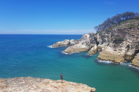 Full-Day Tour To North Stradbroke Island From Brisbane - New South Wales Tourism  0
