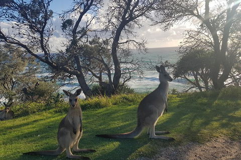 Full-Day Tour To North Stradbroke Island From Brisbane - New South Wales Tourism  1