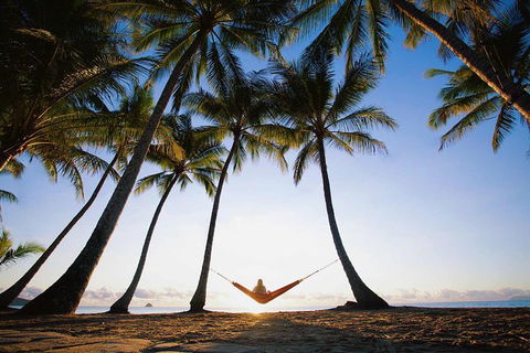 Port Douglas And Hartley's Crocodile Adventure Day Trip From Cairns - New South Wales Tourism  0