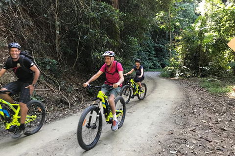 Electric Mountain Bike Rainforest Eco Tour - New South Wales Tourism  1