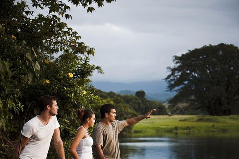 Sightseeing Tour - Half Day - New South Wales Tourism  1