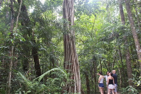 Sightseeing Tour - Half Day - New South Wales Tourism  2