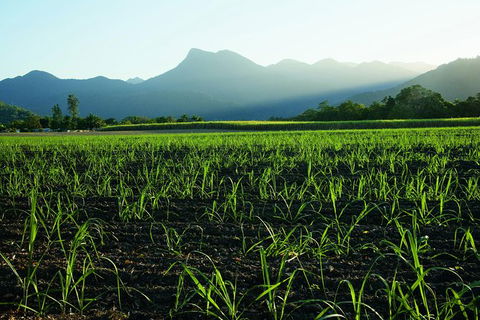 Private Transfer 4 To 6 Passengers, Cairns <> Port Douglas. One Way. - New South Wales Tourism  4