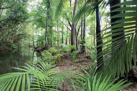 Private Transfer 4 To 6 Passengers, Cairns <> Port Douglas. One Way. - New South Wales Tourism  8