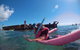 All Inclusive Dolphin And Tangalooma Wrecks Cruise Departing Gold Coast - thumb 1