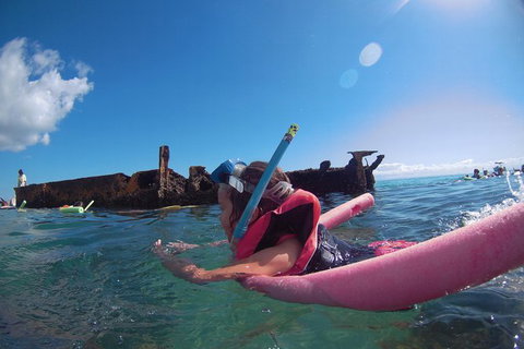All Inclusive Dolphin And Tangalooma Wrecks Cruise Departing Gold Coast - New South Wales Tourism  4