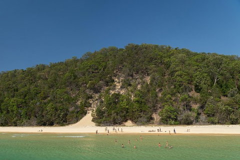 All Inclusive Dolphin And Tangalooma Wrecks Cruise Departing Gold Coast - New South Wales Tourism  3