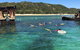 All Inclusive Dolphin And Tangalooma Wrecks Cruise Departing Gold Coast - thumb 9
