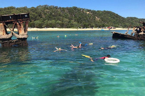 All Inclusive Dolphin And Tangalooma Wrecks Cruise Departing Gold Coast - New South Wales Tourism  9