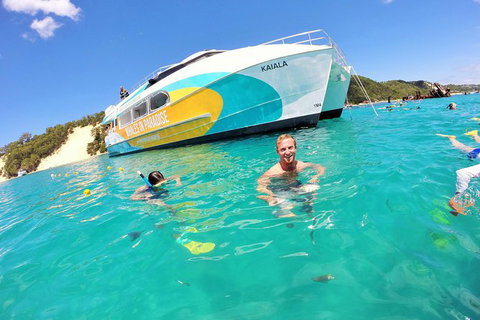 All Inclusive Dolphin And Tangalooma Wrecks Cruise Departing Gold Coast - New South Wales Tourism  2
