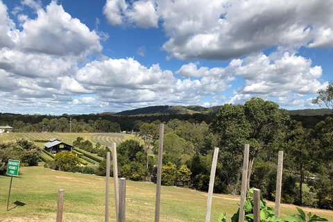 Sirromet Winery All Inclusive Lunch @ Lurleens, Tour, Tastings And Transfers - New South Wales Tourism  4