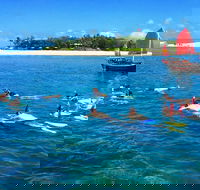 Low Island Snorkelling Private Charter Aboard Authentic Chinese Junk Boat - New South Wales Tourism 