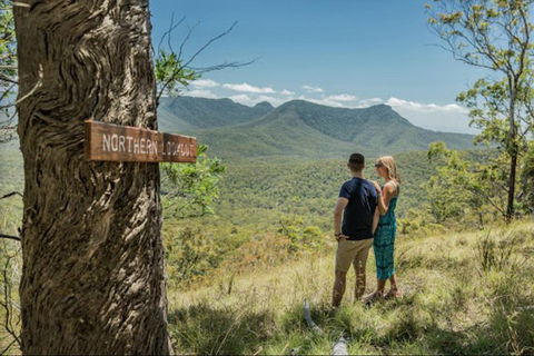 Queensland Food Tour: The Ultimate Delectable Full Day Experience - New South Wales Tourism  1