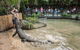 Hartley\'s Crocodile Adventures General Entry Ticket - thumb 0