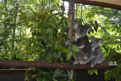 Hartley\'s Crocodile Adventures General Entry Ticket - New South Wales Tourism  8