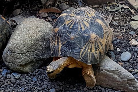 Hartley\'s Crocodile Adventures General Entry Ticket - New South Wales Tourism  3